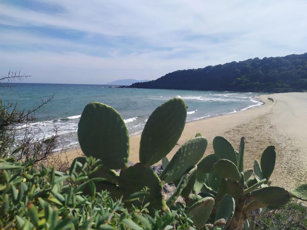 Appartamento A 50 Mt Dal Mare Cala Gonone Exterior foto