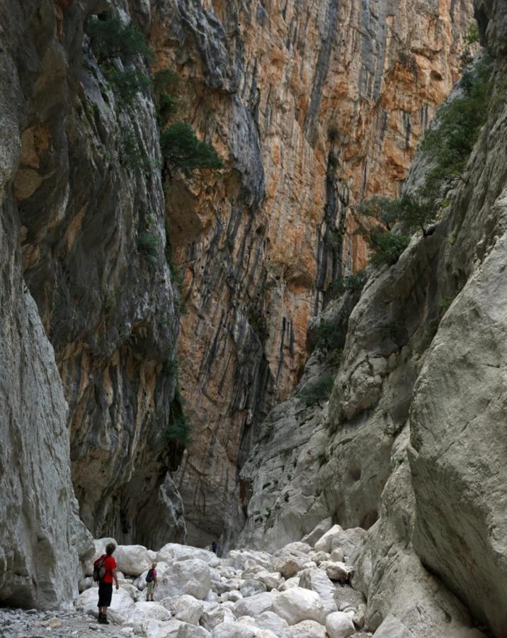 Appartamento A 50 Mt Dal Mare Cala Gonone Exterior foto
