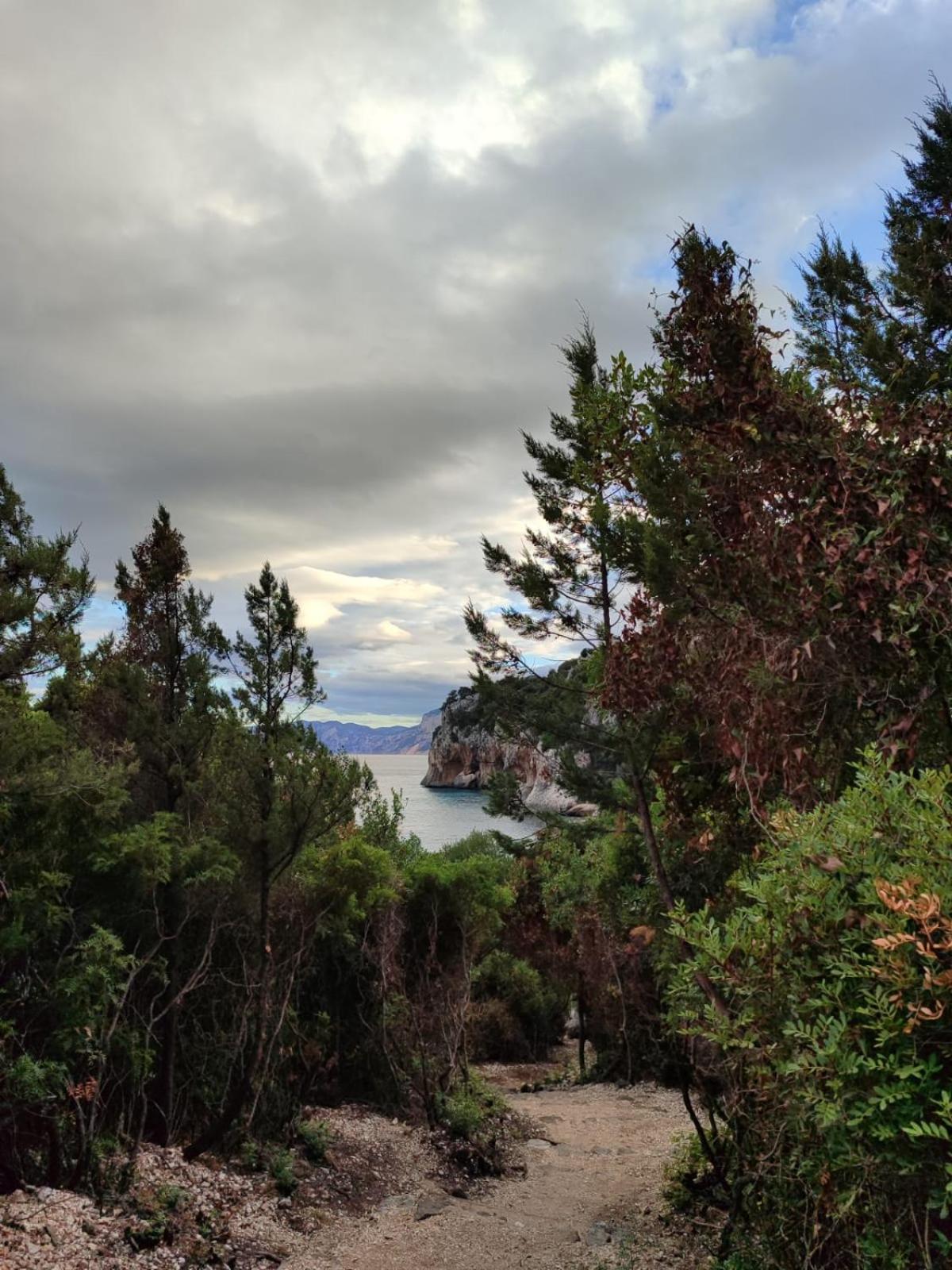 Appartamento A 50 Mt Dal Mare Cala Gonone Exterior foto
